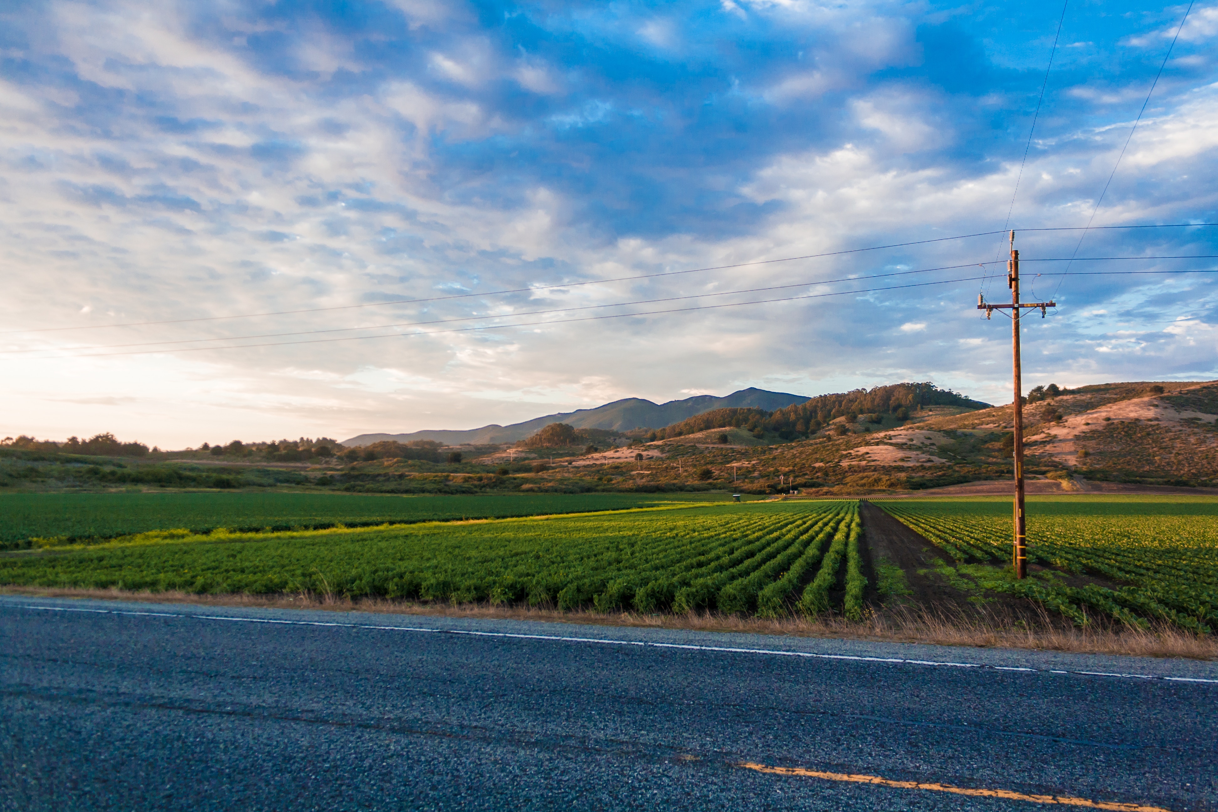 Modern Endo Napa artur-pokusin-740-unsplash Photo by Artur Pokusin on Unsplash